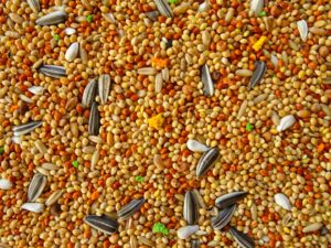 OLA Standard complete pet food for parakeets - Image 3