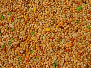 OLA Standard complete pet food for budgerigars - Image 3