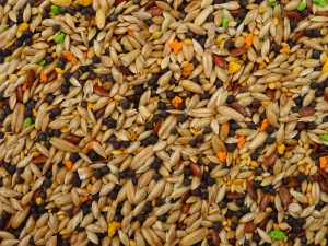 OLA Standard complete pet food for canaries - Image 3