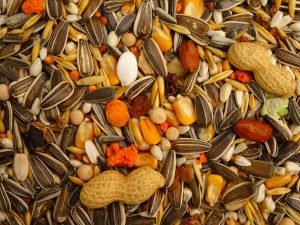 OLA Standard complete pet food for parrots - Image 3